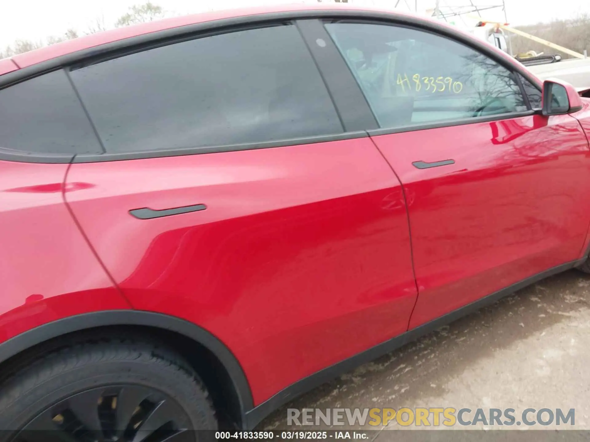 12 fotografías del automóvil dañado 5YJYGDEE6MF182238 TESLA MODEL Y 2021