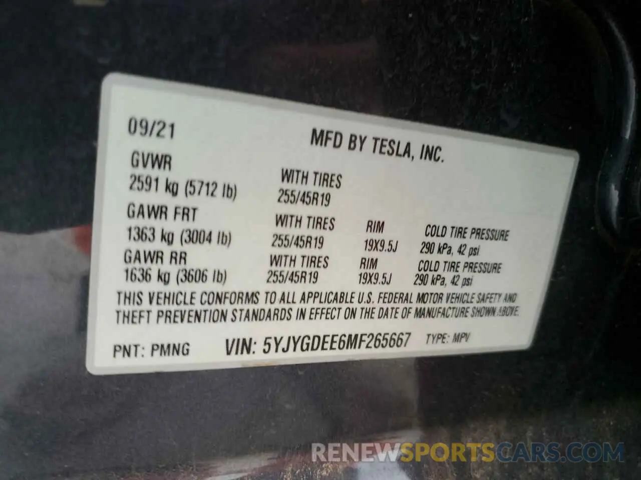 12 fotografías del automóvil dañado 5YJYGDEE6MF265667 TESLA MODEL Y 2021