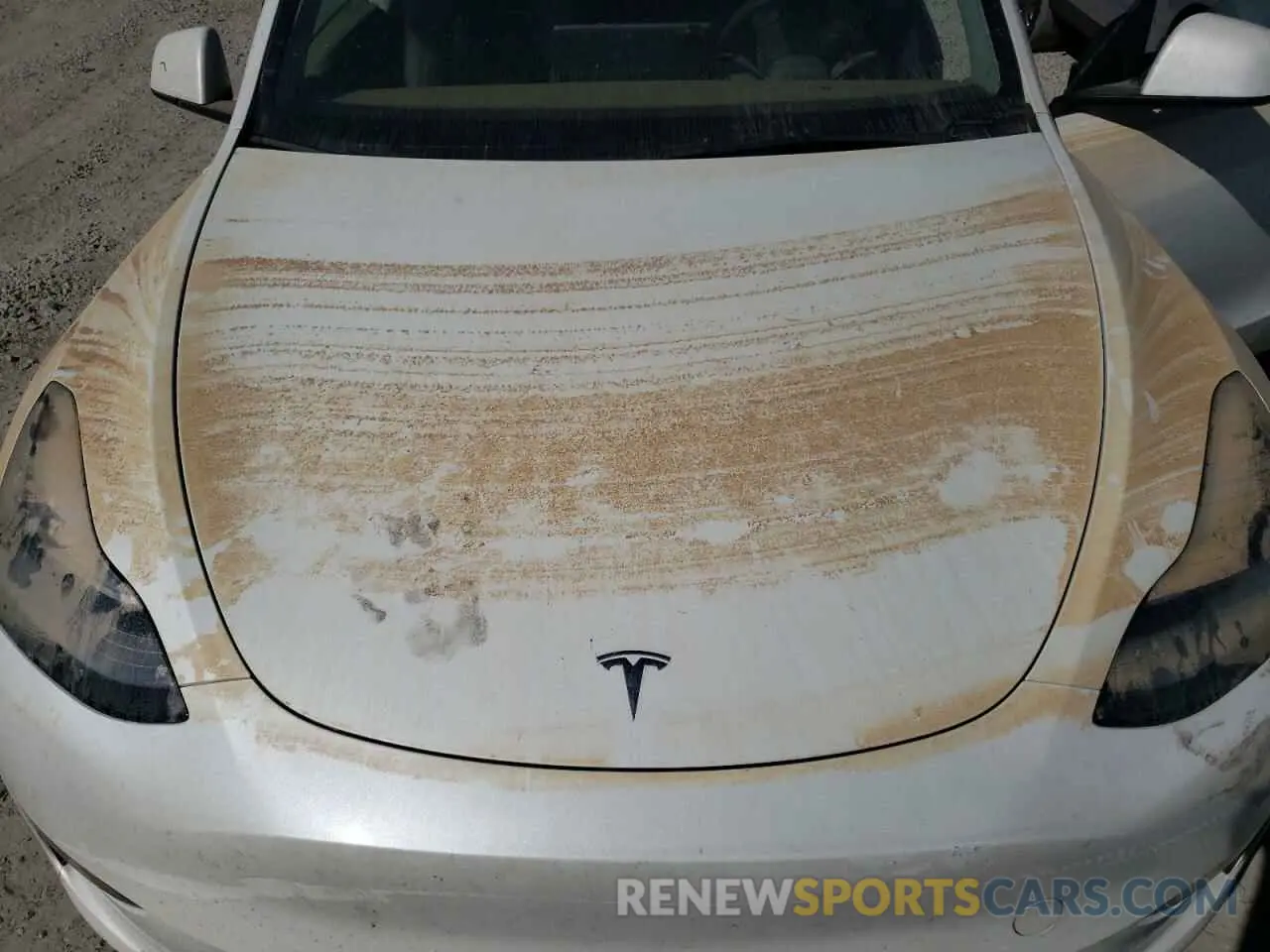 11 fotografías del automóvil dañado 5YJYGDEE6MF302085 TESLA MODEL Y 2021