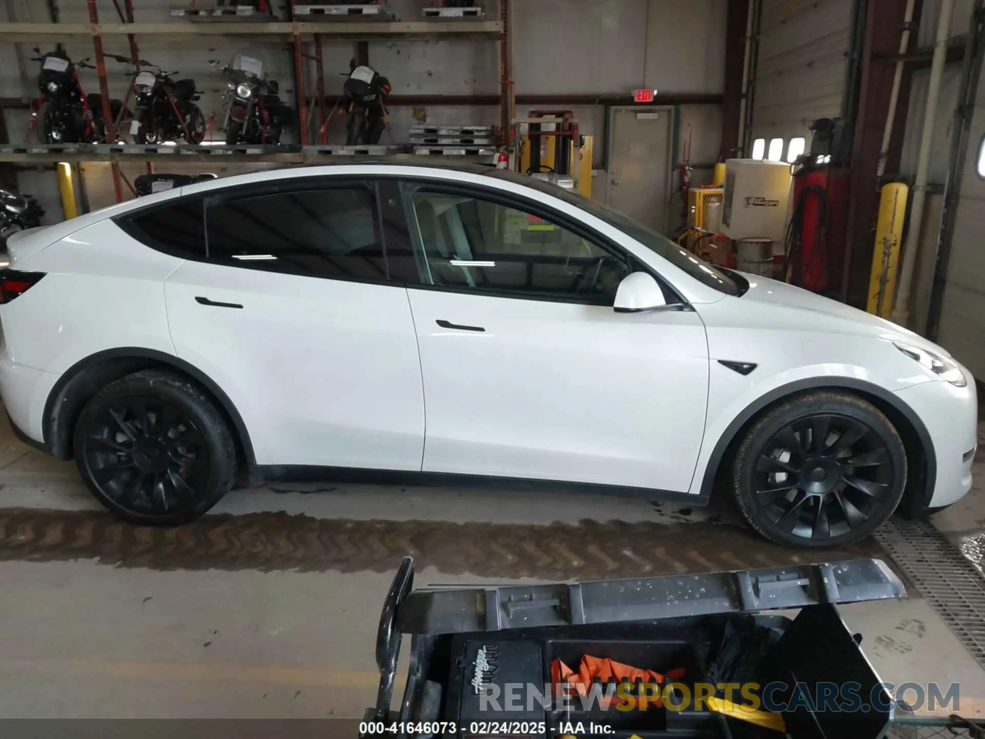 13 fotografías del automóvil dañado 5YJYGDEE7MF074713 TESLA MODEL Y 2021