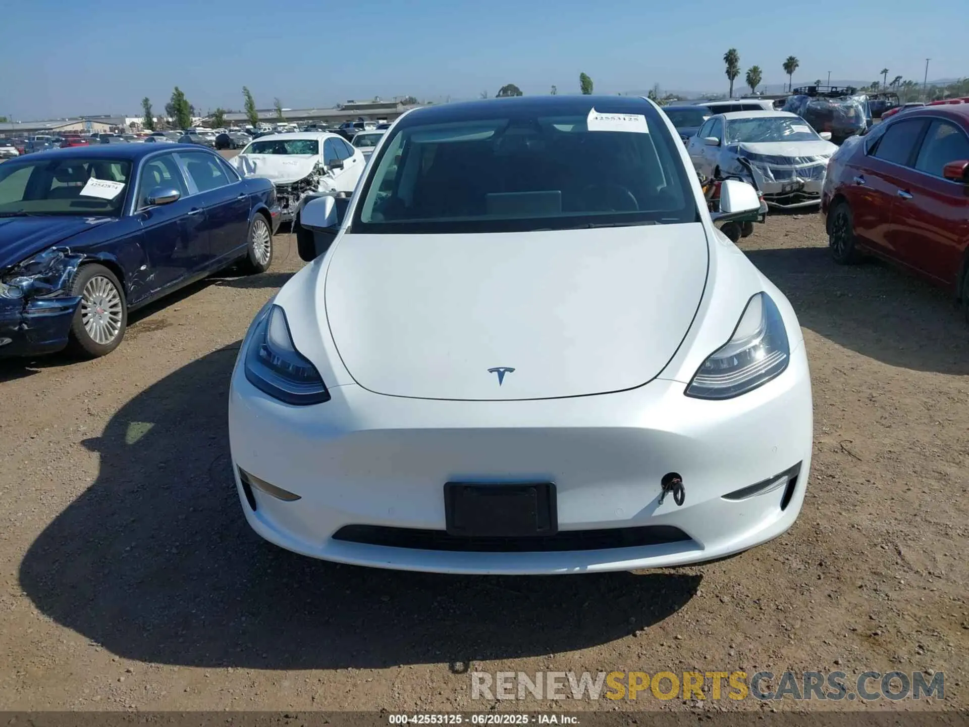 12 fotografías del automóvil dañado 5YJYGDEE7MF085758 TESLA MODEL Y 2021