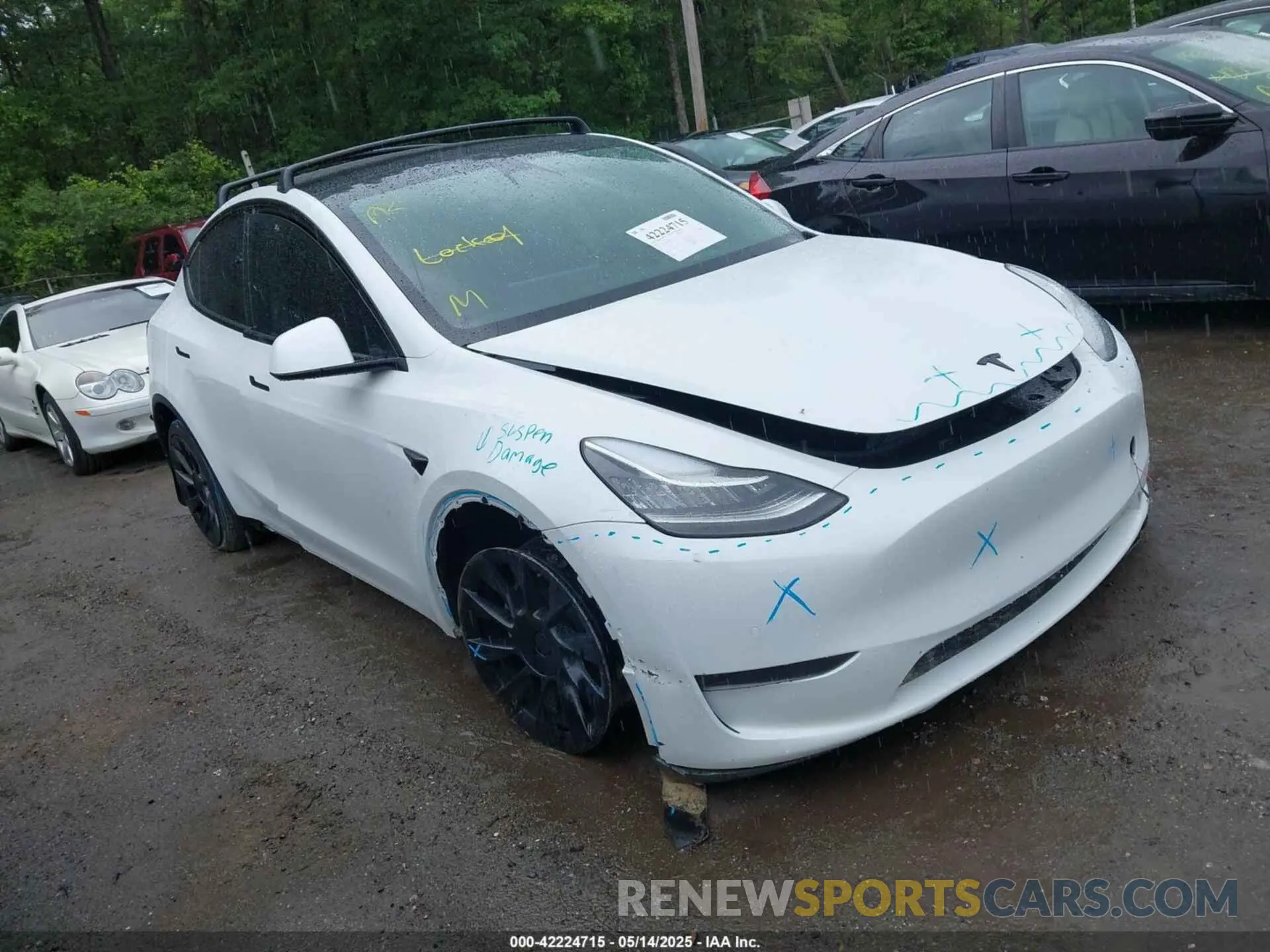 1 fotografías del automóvil dañado 5YJYGDEE7MF108245 TESLA MODEL Y 2021