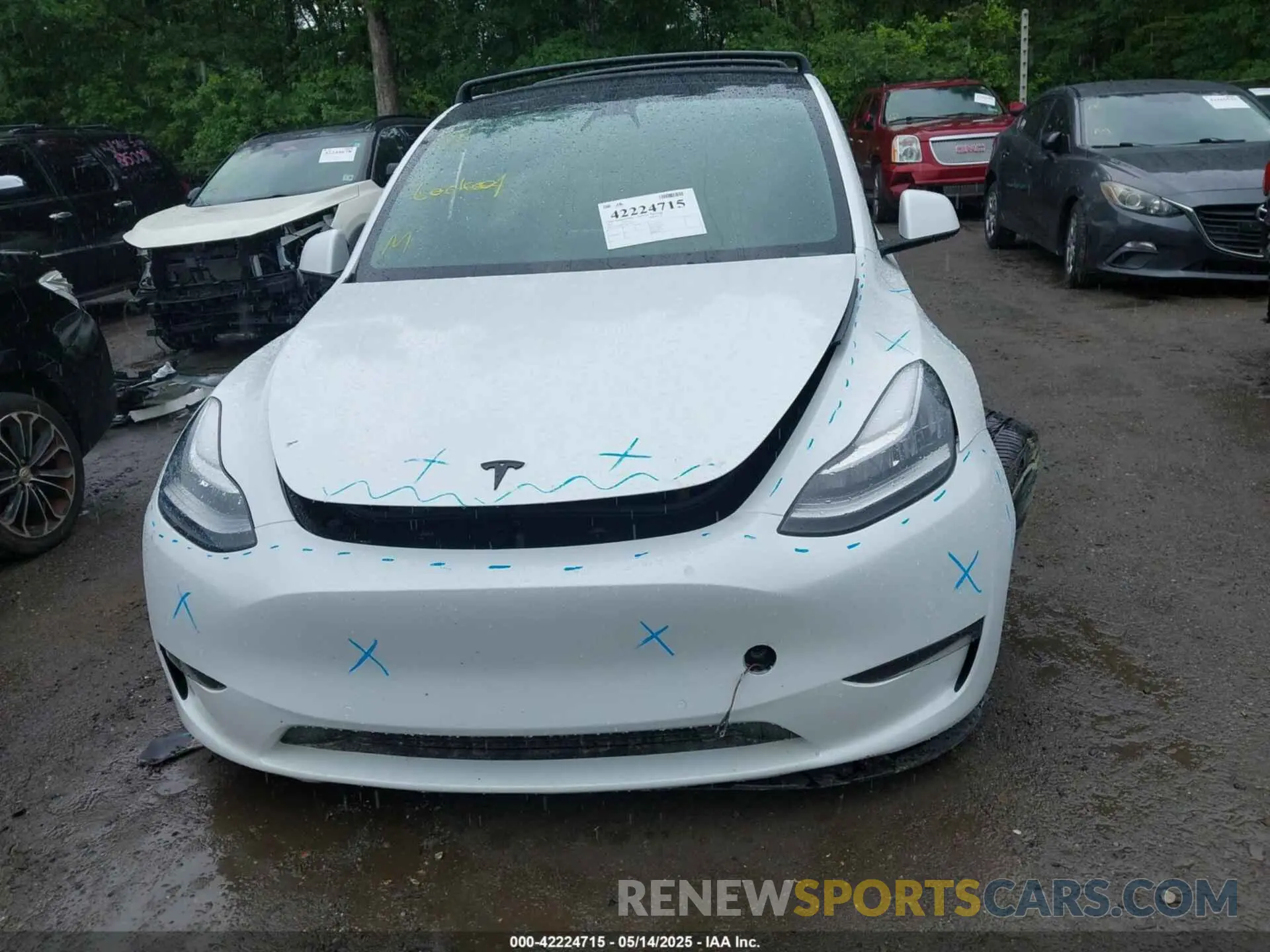 11 fotografías del automóvil dañado 5YJYGDEE7MF108245 TESLA MODEL Y 2021