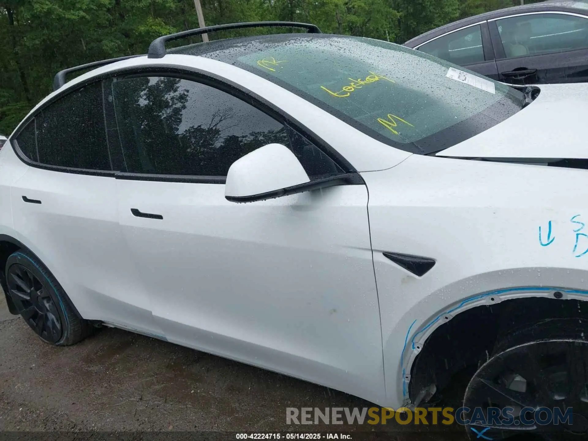 12 fotografías del automóvil dañado 5YJYGDEE7MF108245 TESLA MODEL Y 2021