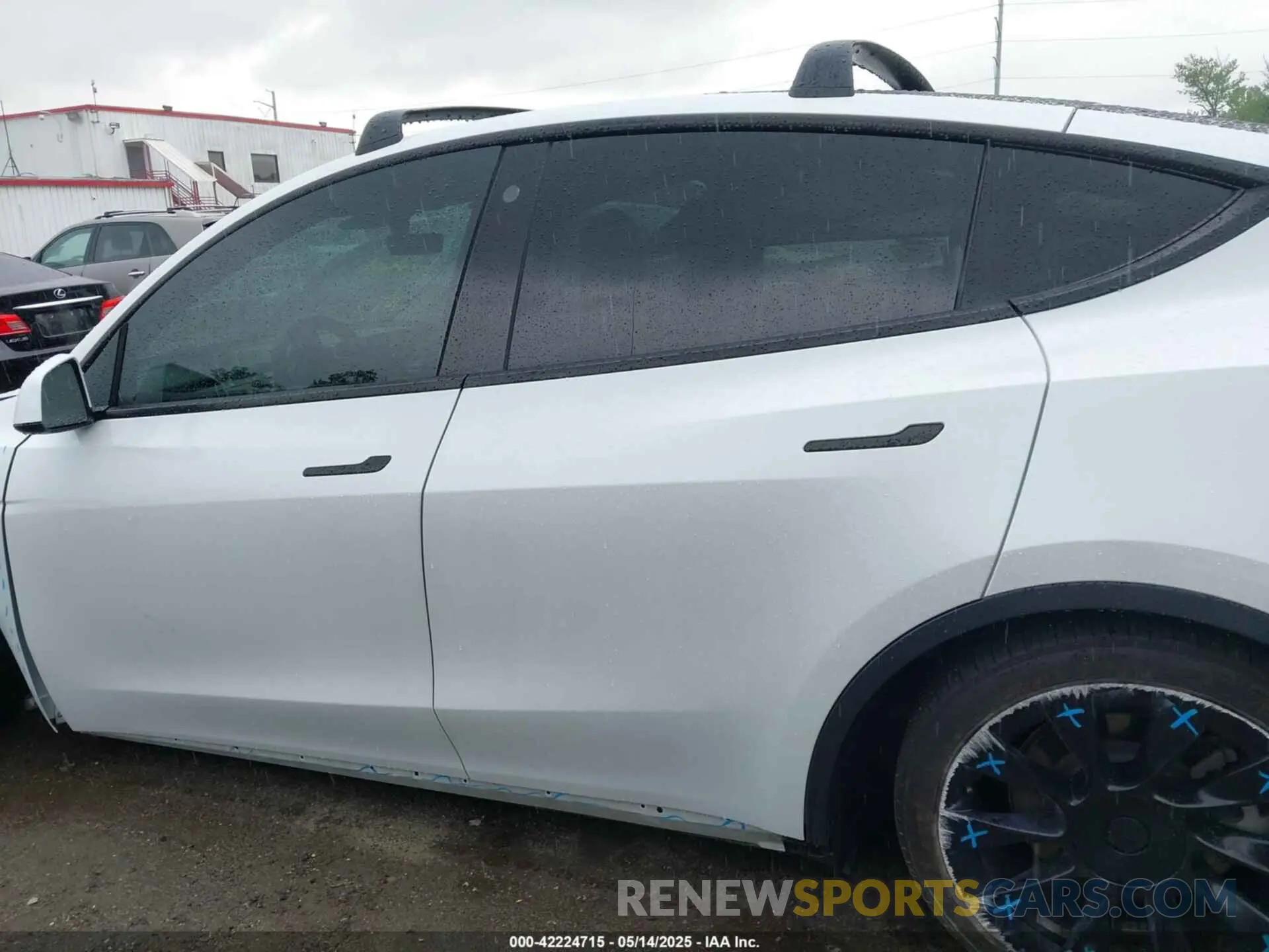 13 fotografías del automóvil dañado 5YJYGDEE7MF108245 TESLA MODEL Y 2021