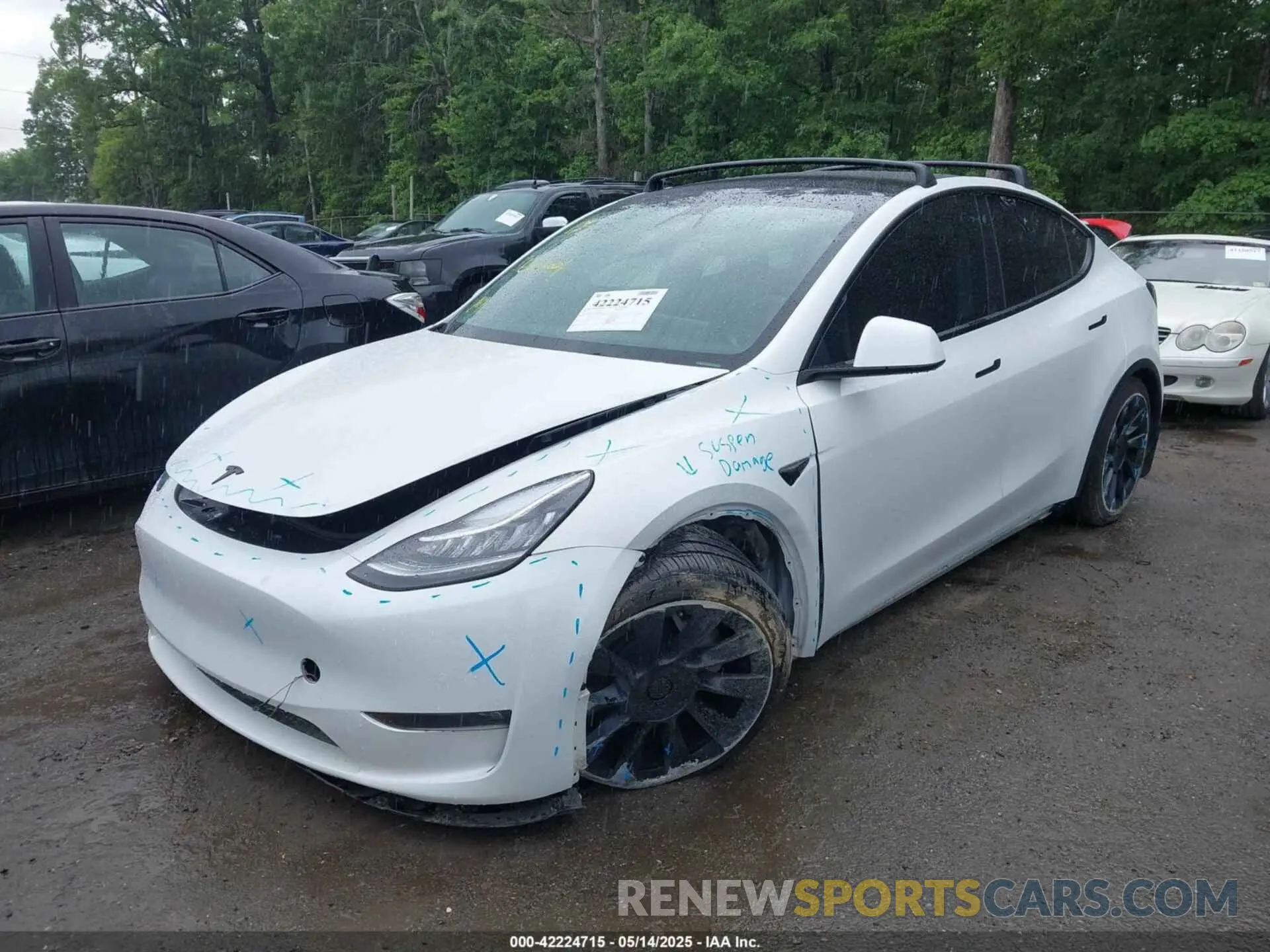 2 fotografías del automóvil dañado 5YJYGDEE7MF108245 TESLA MODEL Y 2021