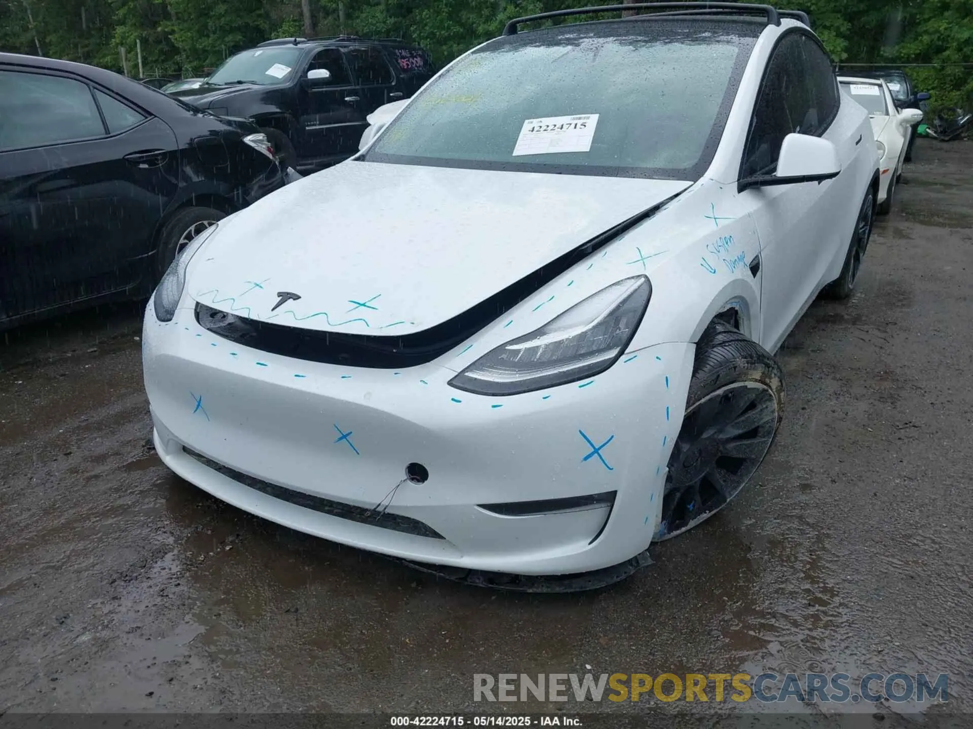 6 fotografías del automóvil dañado 5YJYGDEE7MF108245 TESLA MODEL Y 2021