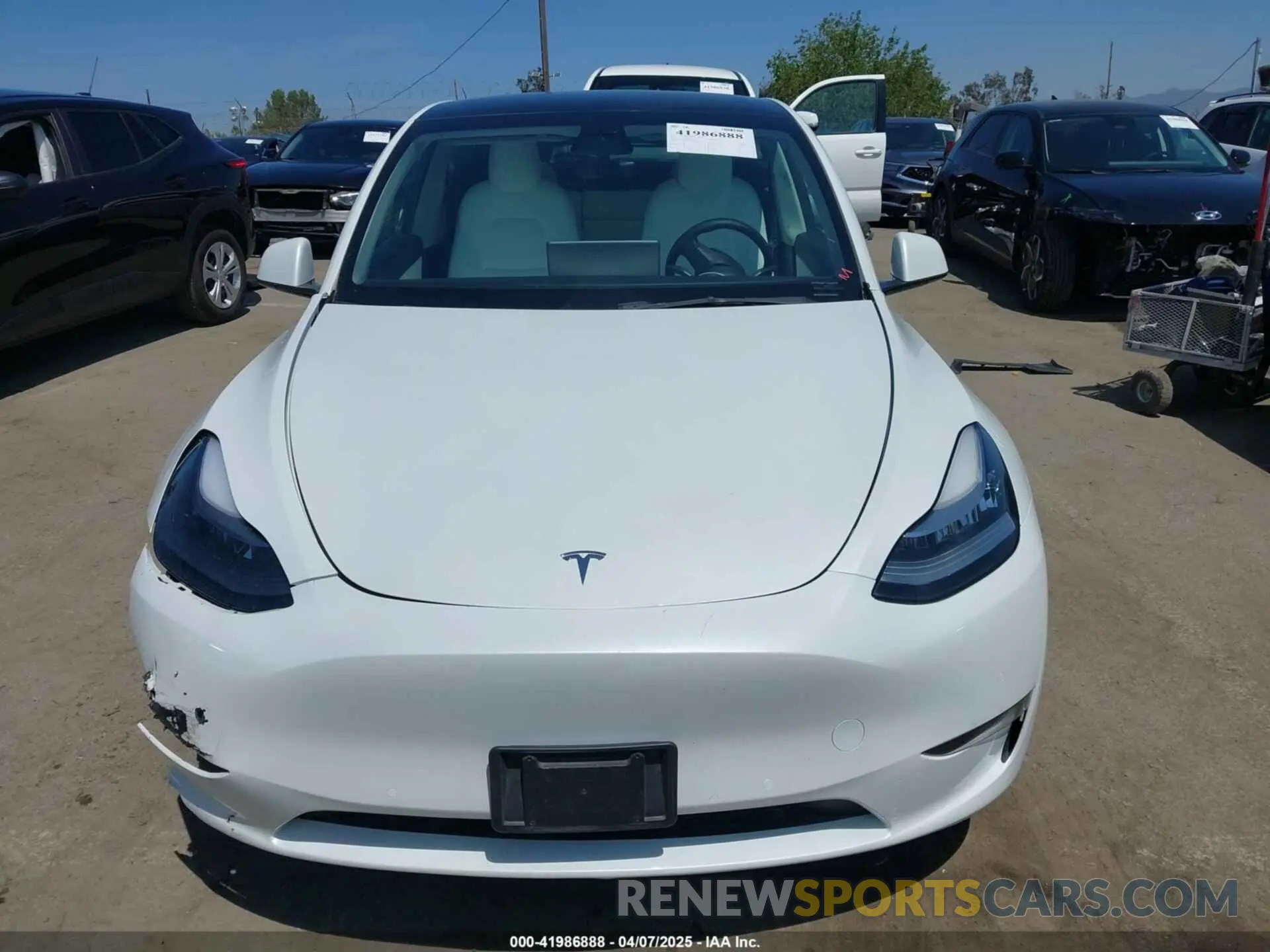 12 fotografías del automóvil dañado 5YJYGDEE7MF279223 TESLA MODEL Y 2021