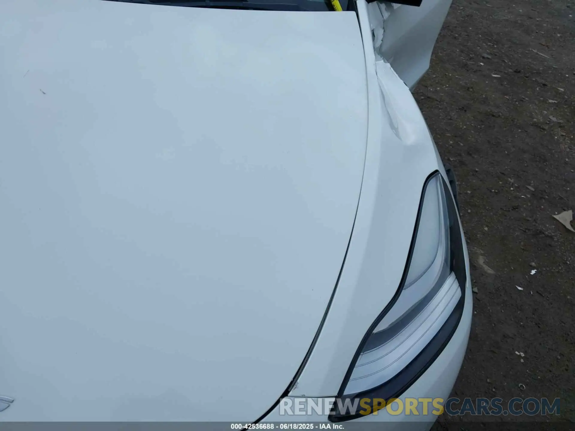 10 fotografías del automóvil dañado 5YJYGDEE8MF068886 TESLA MODEL Y 2021