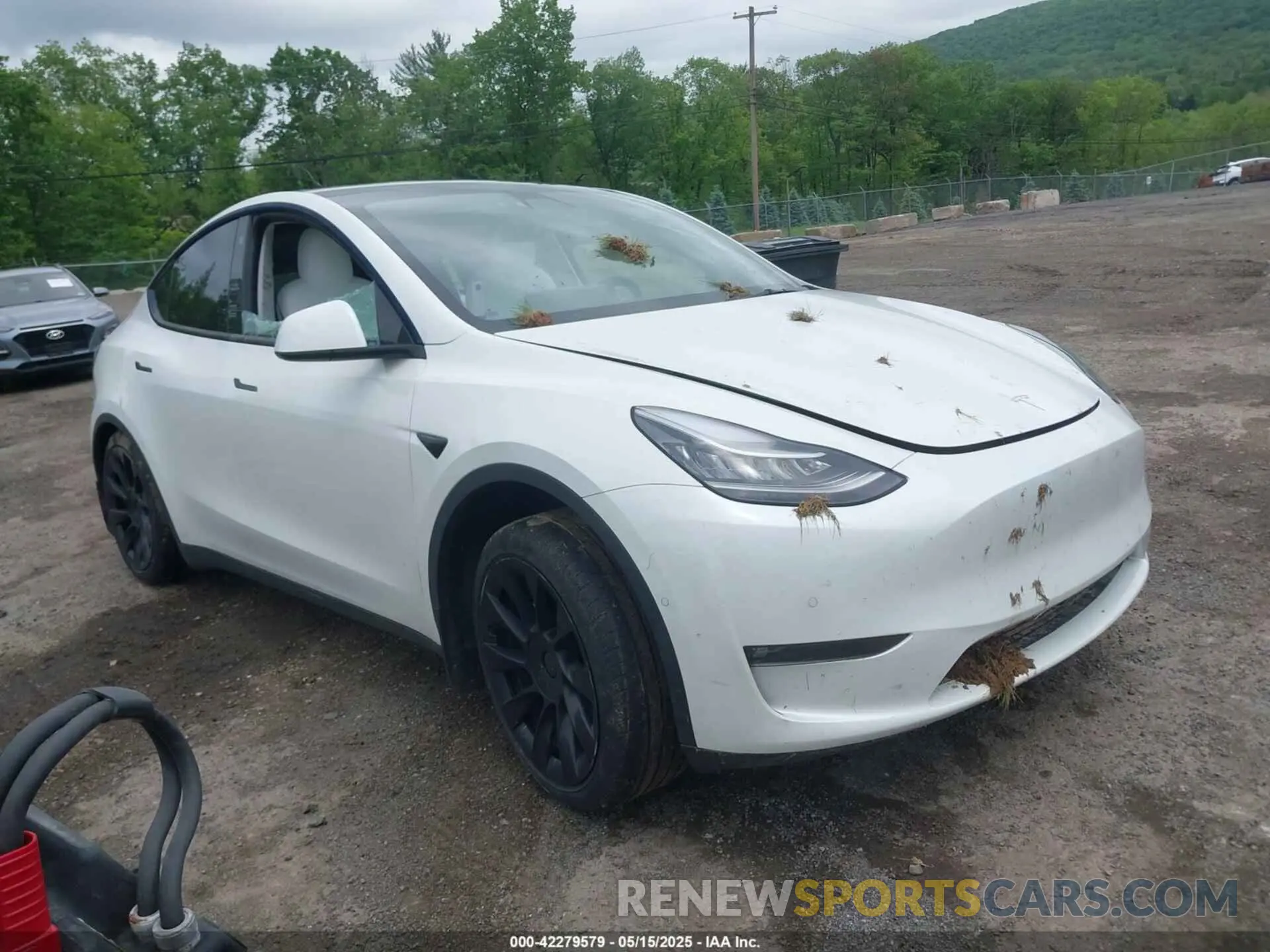 1 fotografías del automóvil dañado 5YJYGDEE8MF151699 TESLA MODEL Y 2021