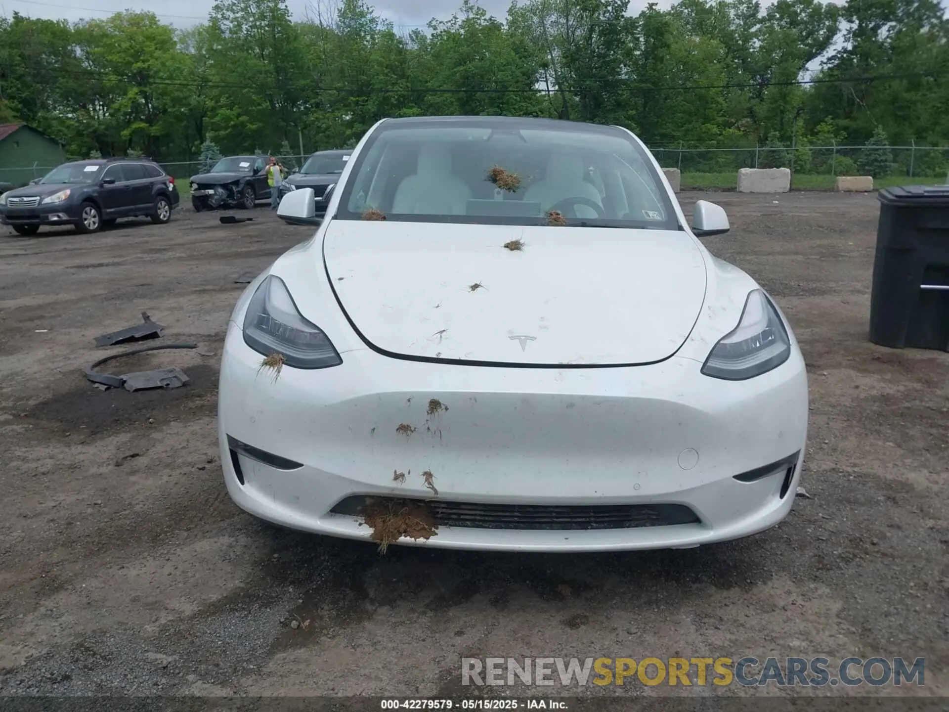 13 fotografías del automóvil dañado 5YJYGDEE8MF151699 TESLA MODEL Y 2021