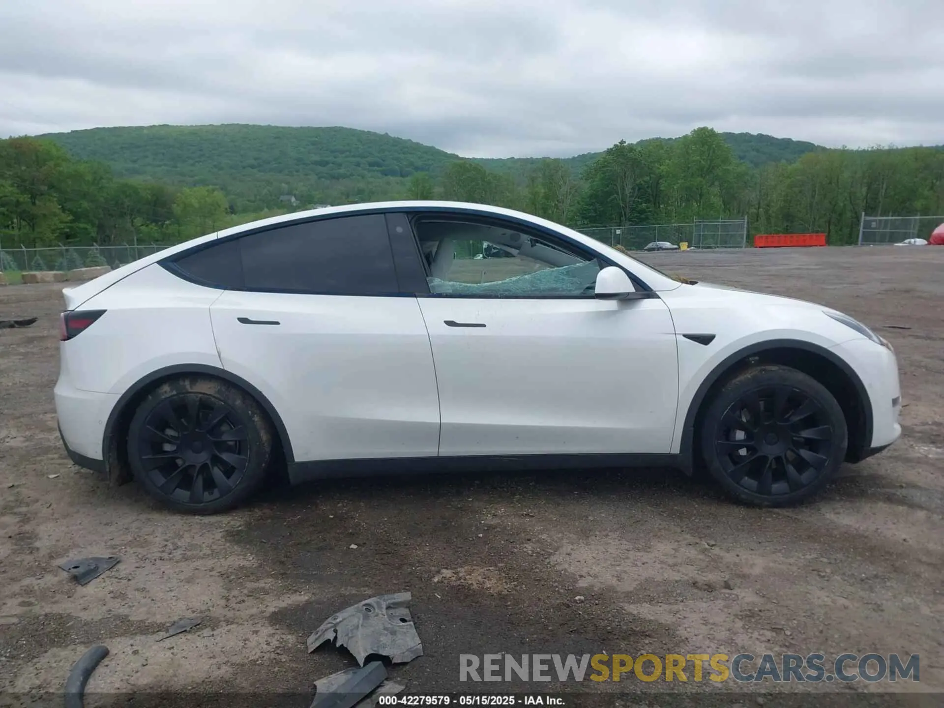 14 fotografías del automóvil dañado 5YJYGDEE8MF151699 TESLA MODEL Y 2021