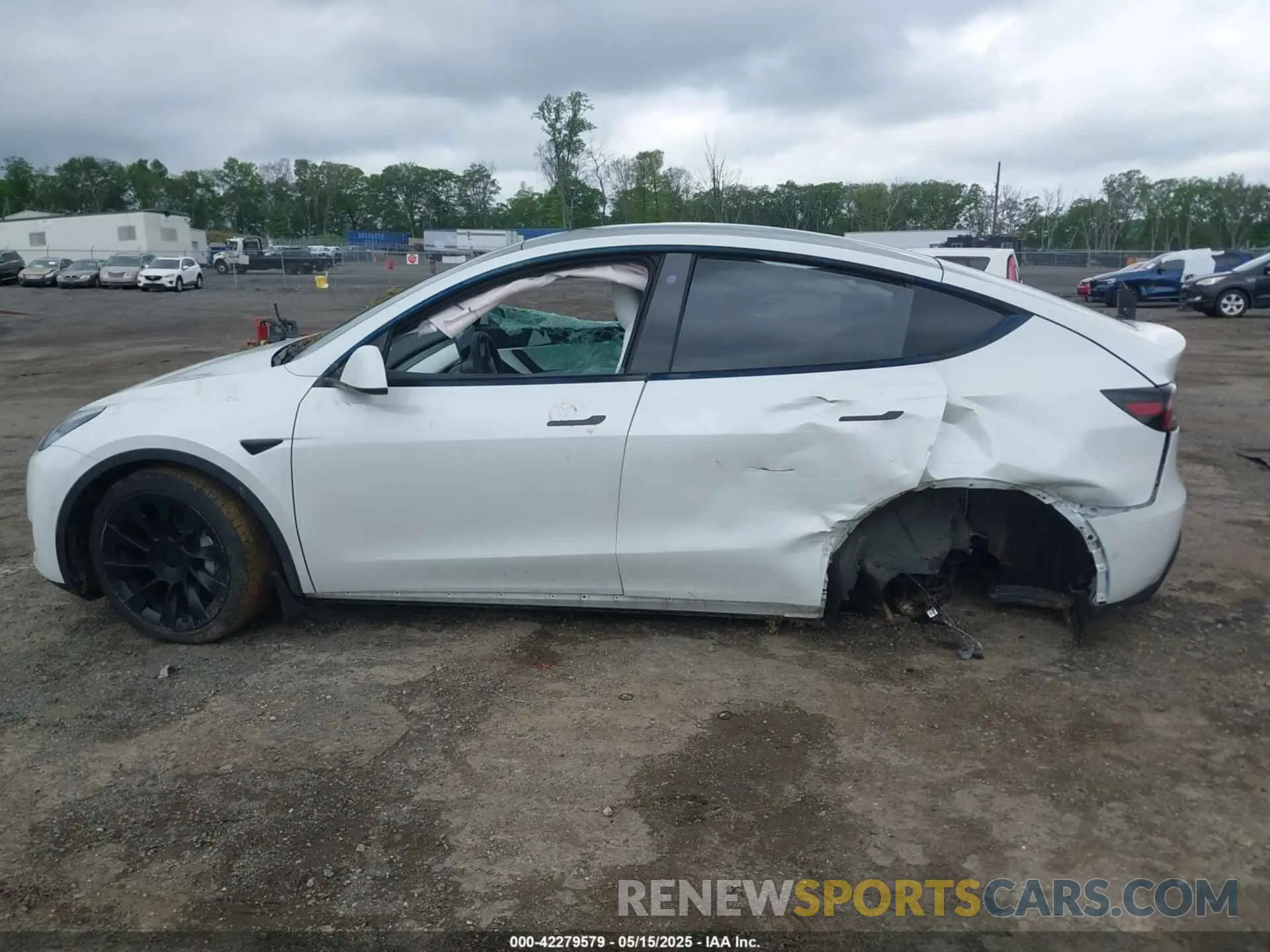 15 fotografías del automóvil dañado 5YJYGDEE8MF151699 TESLA MODEL Y 2021