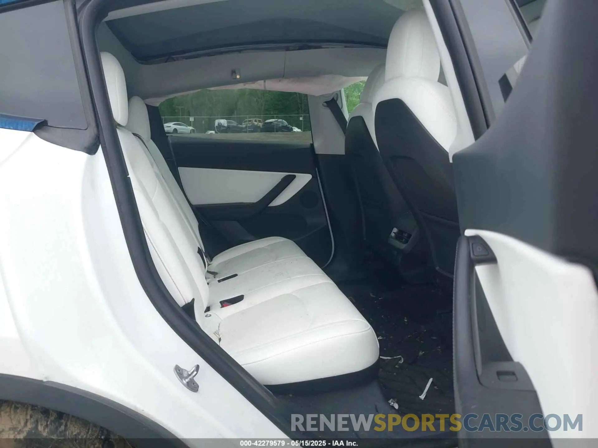 8 fotografías del automóvil dañado 5YJYGDEE8MF151699 TESLA MODEL Y 2021