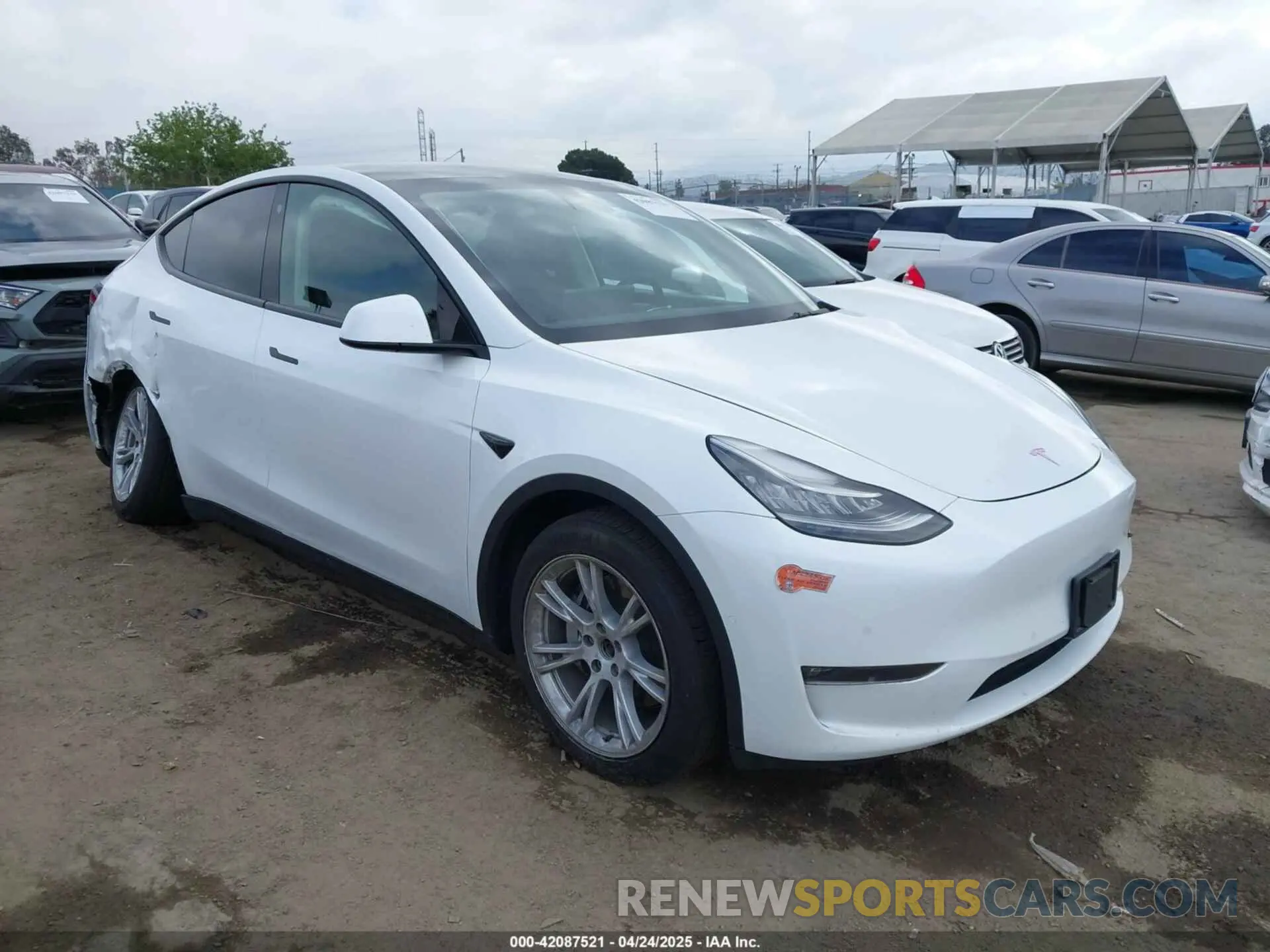 1 fotografías del automóvil dañado 5YJYGDEE8MF199686 TESLA MODEL Y 2021