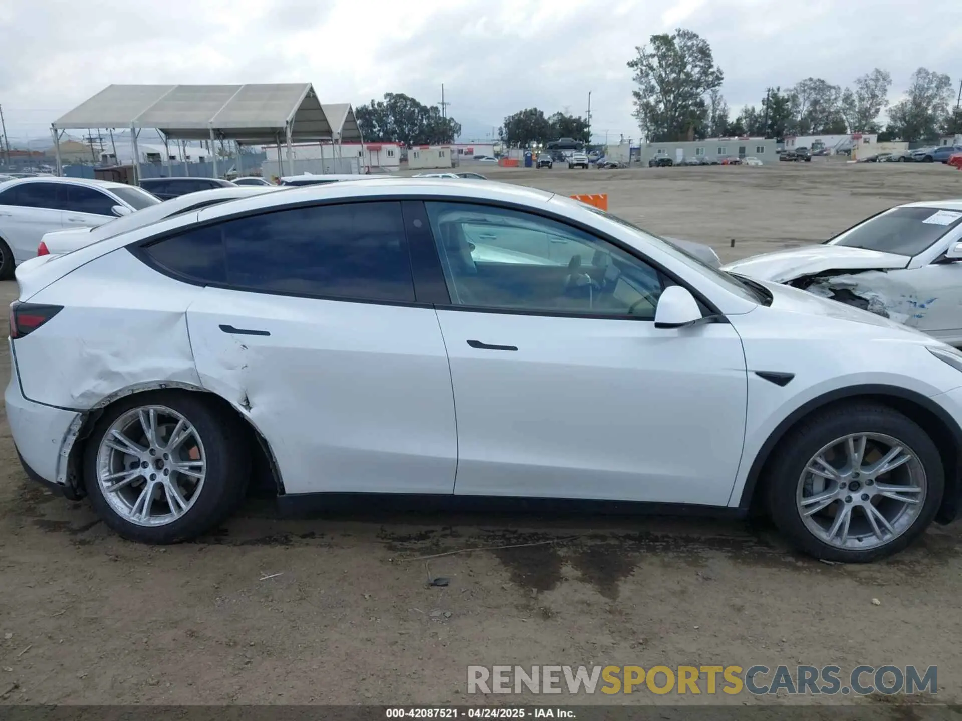 14 fotografías del automóvil dañado 5YJYGDEE8MF199686 TESLA MODEL Y 2021