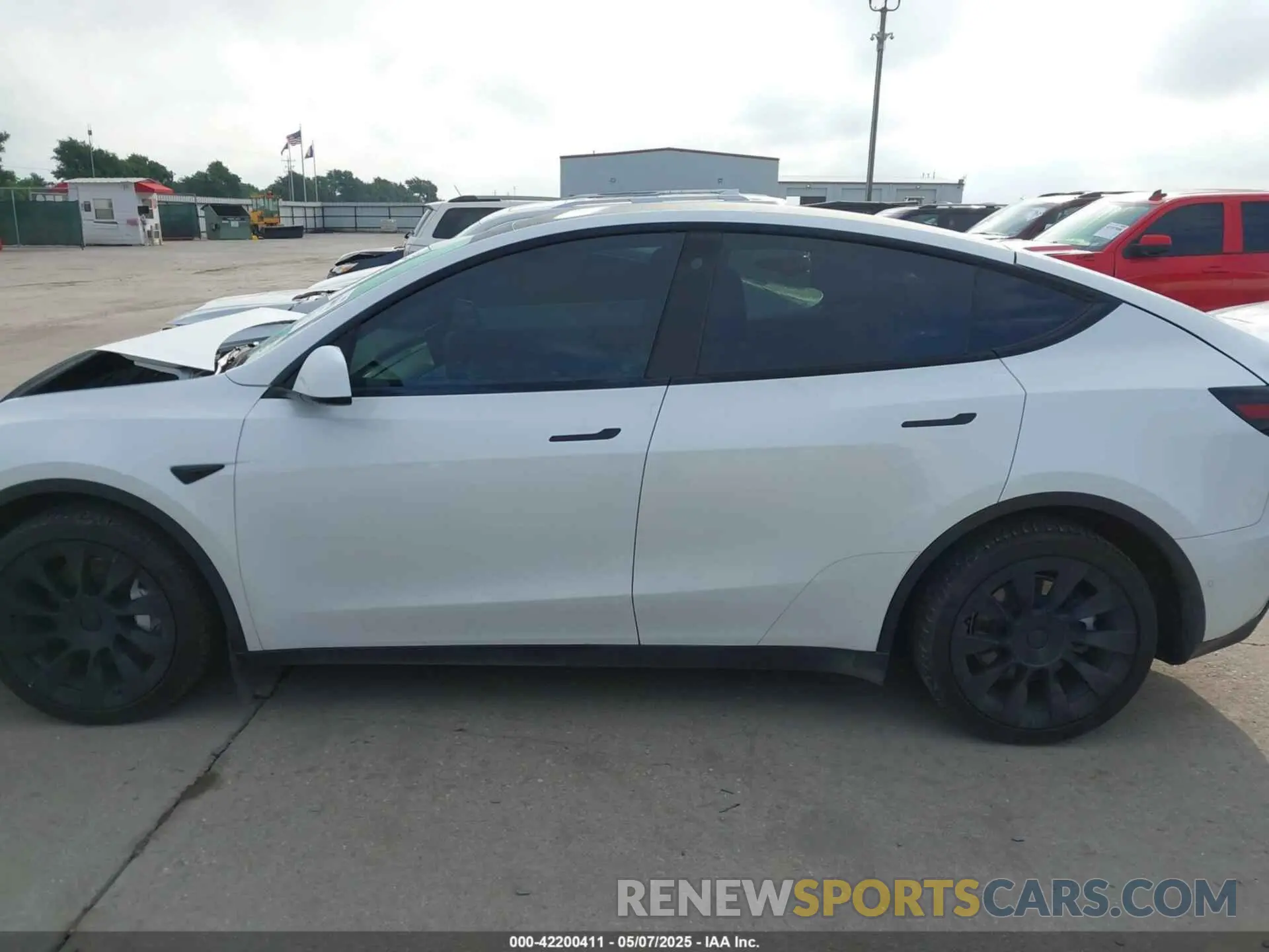 14 fotografías del automóvil dañado 5YJYGDEE8MF266075 TESLA MODEL Y 2021