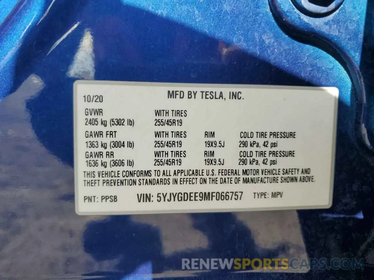 13 fotografías del automóvil dañado 5YJYGDEE9MF066757 TESLA MODEL Y 2021