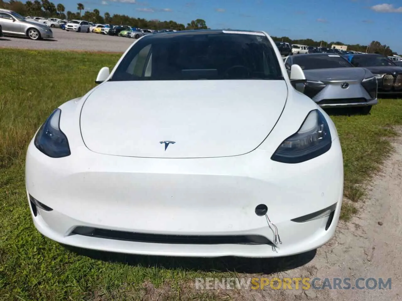 5 fotografías del automóvil dañado 5YJYGDEE9MF074647 TESLA MODEL Y 2021