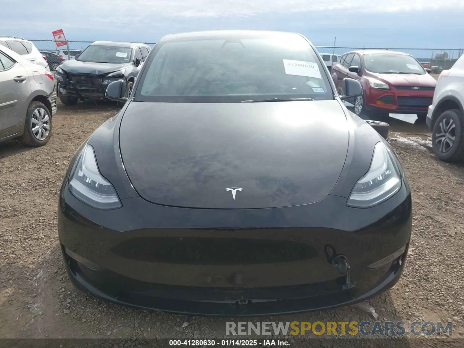 13 fotografías del automóvil dañado 5YJYGDEE9MF111843 TESLA MODEL Y 2021
