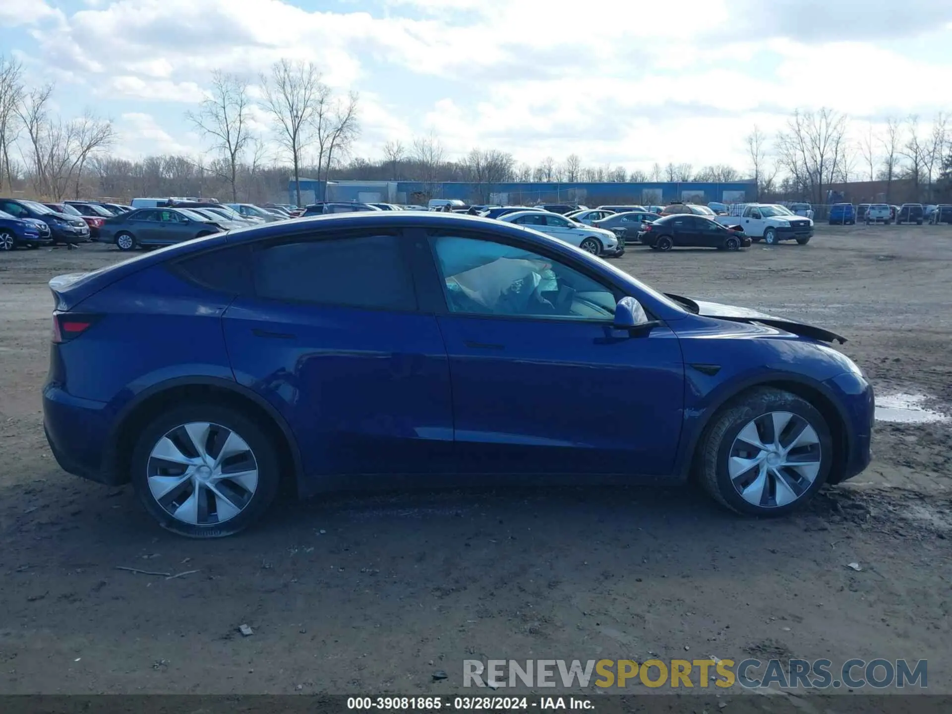 12 fotografías del automóvil dañado 5YJYGDEEXMF099881 TESLA MODEL Y 2021