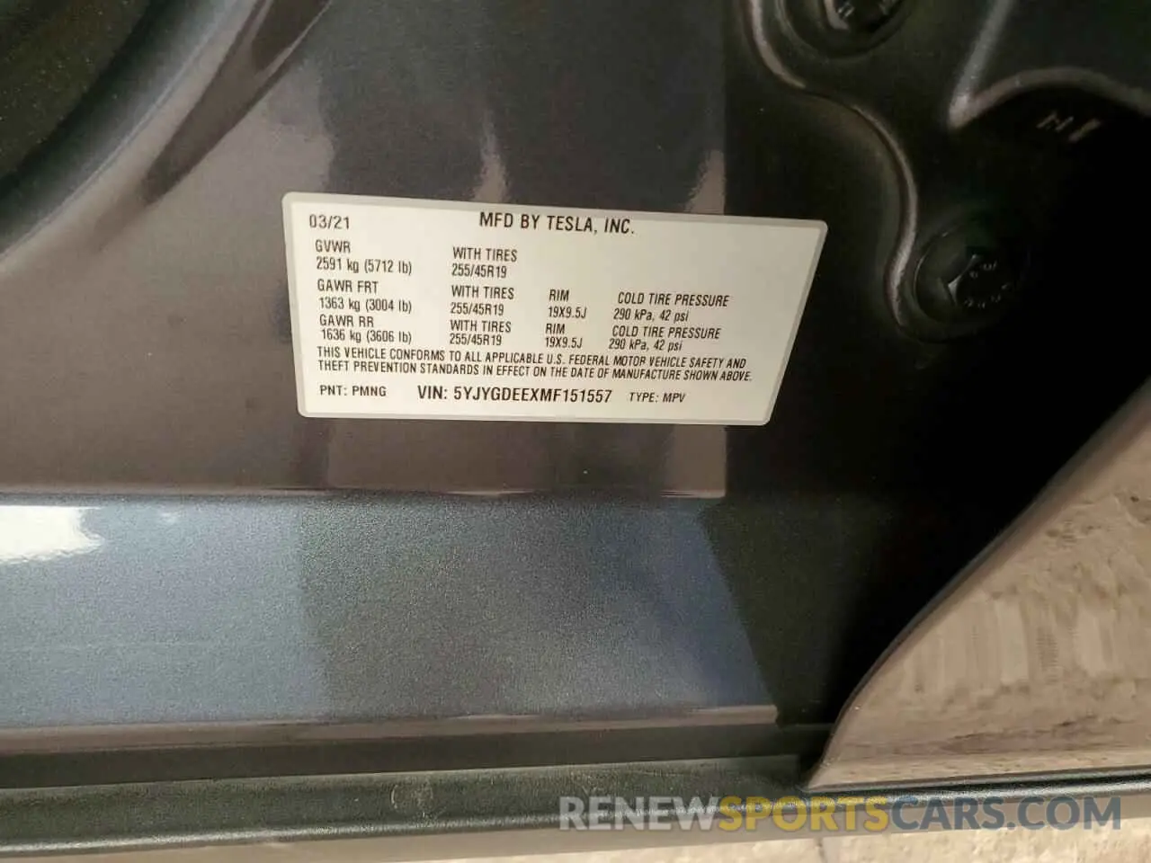 13 fotografías del automóvil dañado 5YJYGDEEXMF151557 TESLA MODEL Y 2021