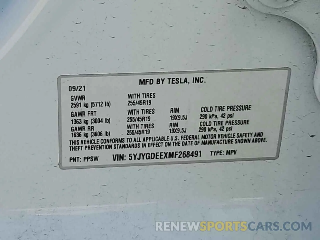 13 fotografías del automóvil dañado 5YJYGDEEXMF268491 TESLA MODEL Y 2021