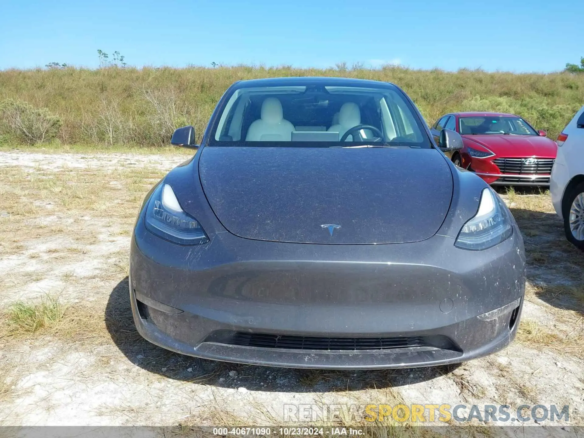 11 fotografías del automóvil dañado 5YJYGDEF0MF090096 TESLA MODEL Y 2021