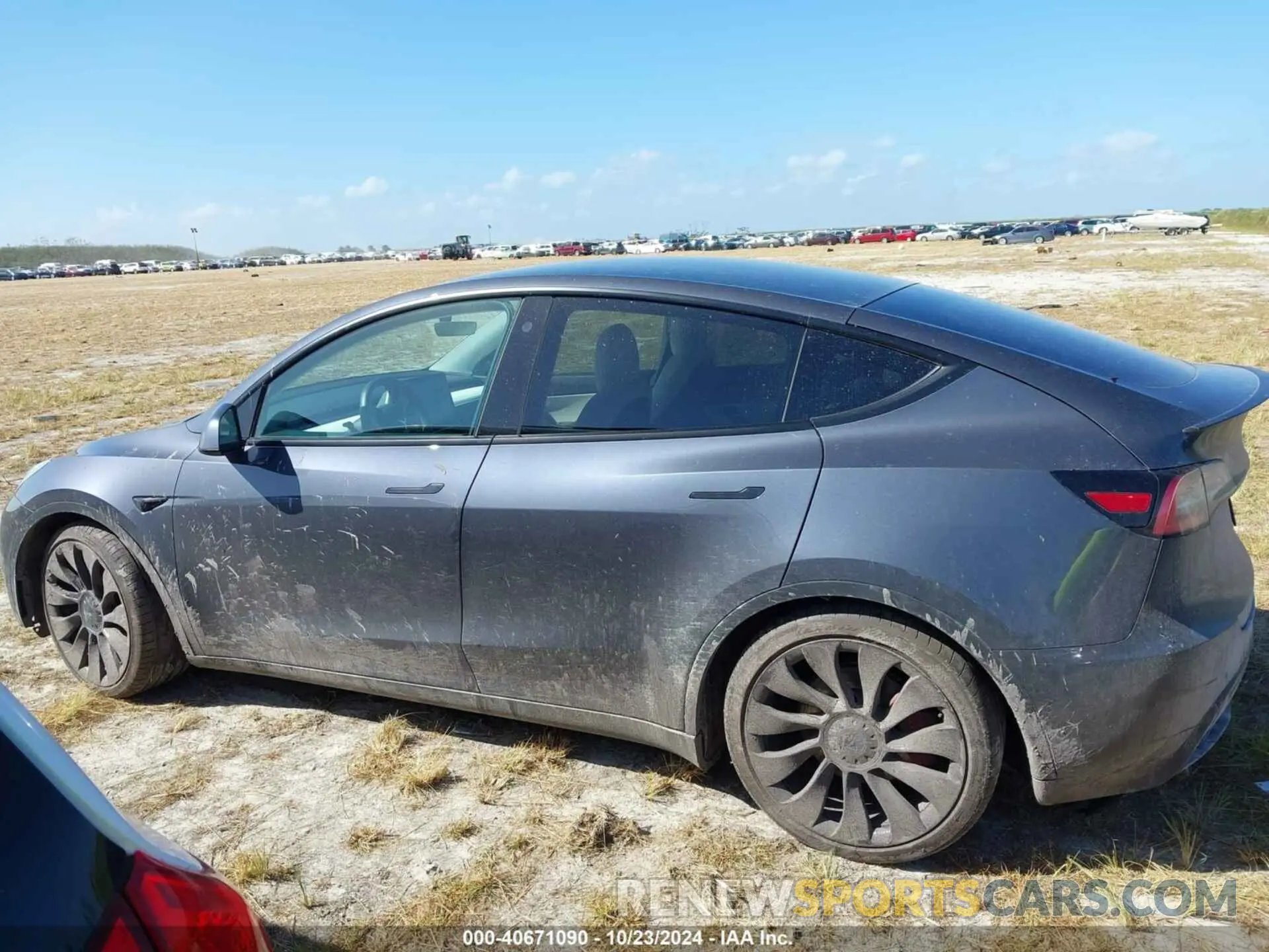 13 fotografías del automóvil dañado 5YJYGDEF0MF090096 TESLA MODEL Y 2021