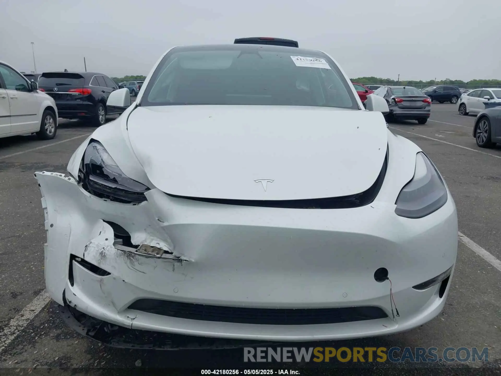 12 fotografías del automóvil dañado 5YJYGDEF1MF251359 TESLA MODEL Y 2021