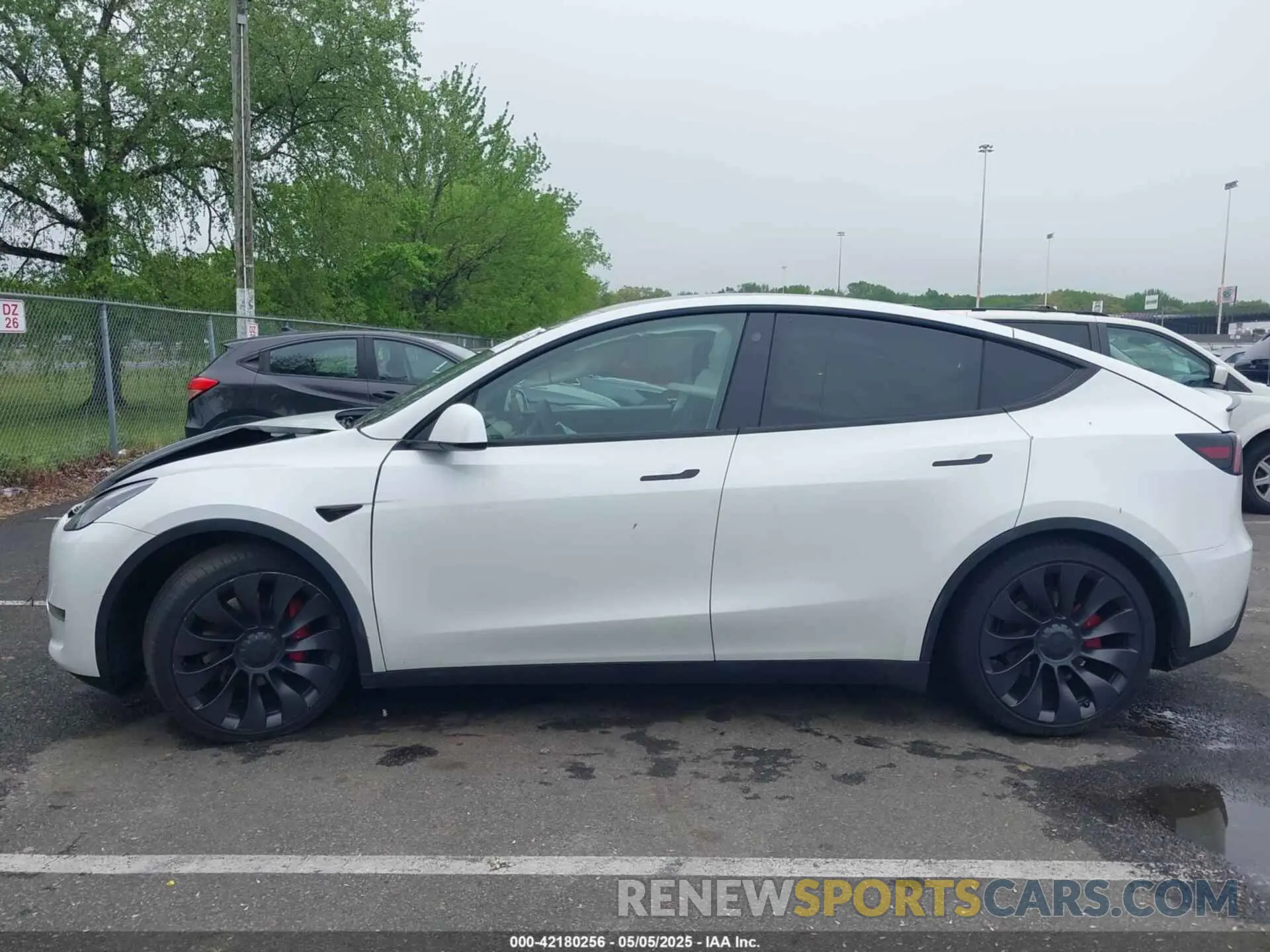 14 fotografías del automóvil dañado 5YJYGDEF1MF251359 TESLA MODEL Y 2021