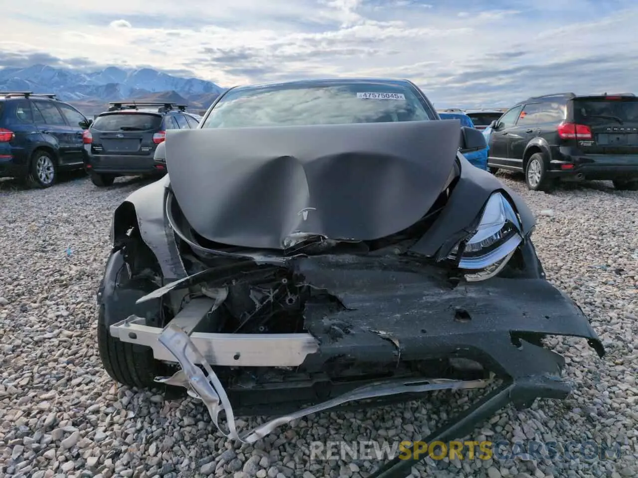 5 fotografías del automóvil dañado 5YJYGDEF9MF098617 TESLA MODEL Y 2021
