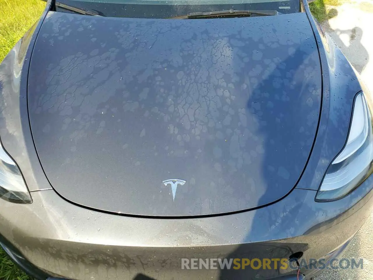 12 fotografías del automóvil dañado 7SAYGAEE6NF576132 TESLA MODEL Y 2022