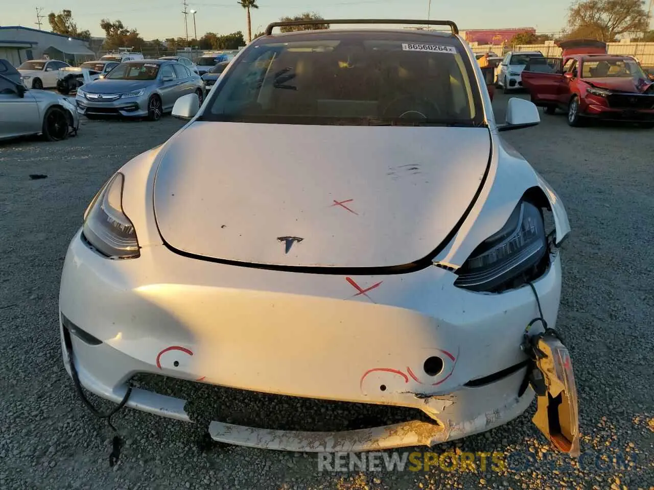 5 fotografías del automóvil dañado 7SAYGAEEXNF488944 TESLA MODEL Y 2022