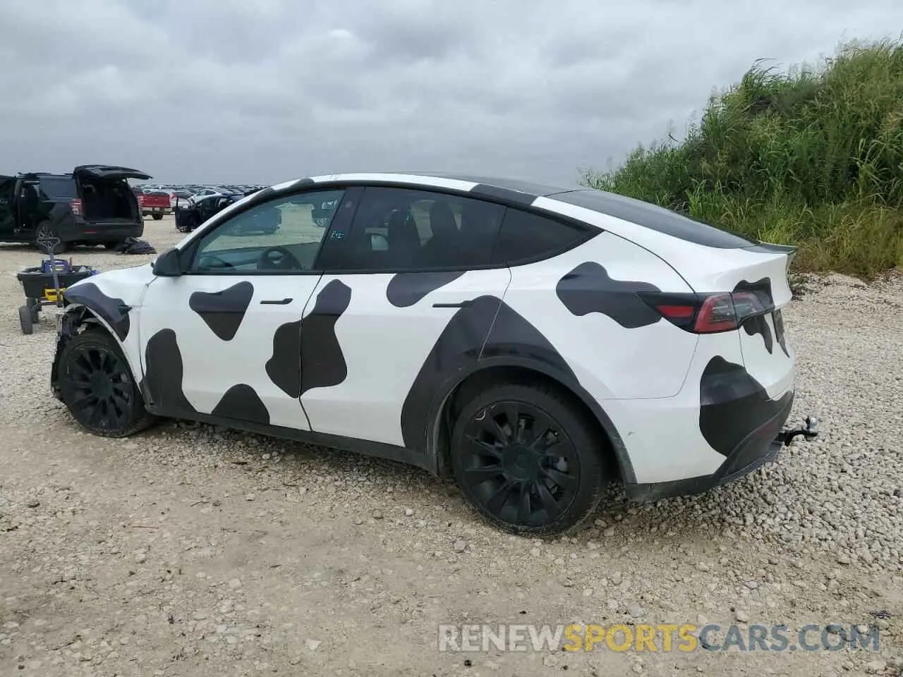 2 fotografías del automóvil dañado 7SAYGDEE1NA001175 TESLA MODEL Y 2022