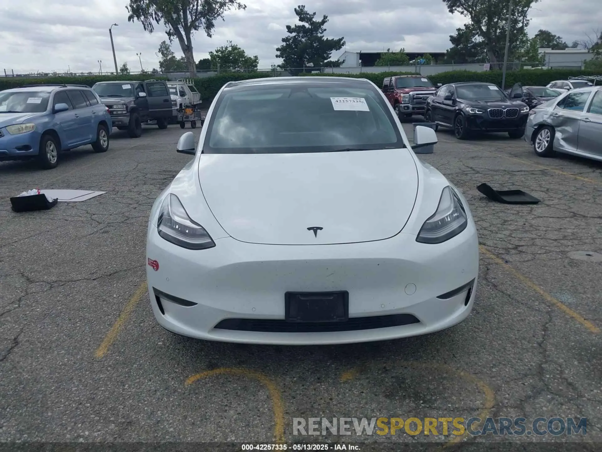 11 fotografías del automóvil dañado 7SAYGDEE1NA021054 TESLA MODEL Y 2022