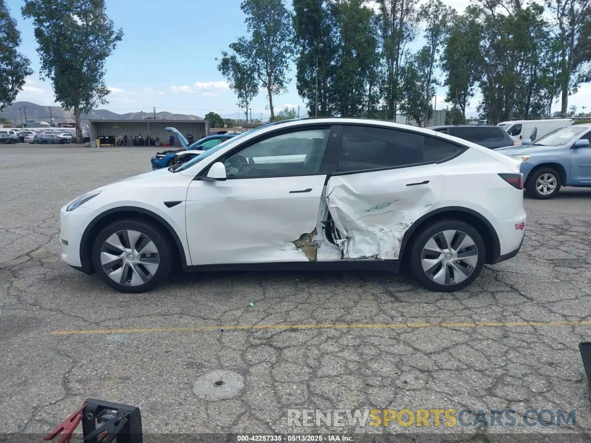 13 fotografías del automóvil dañado 7SAYGDEE1NA021054 TESLA MODEL Y 2022