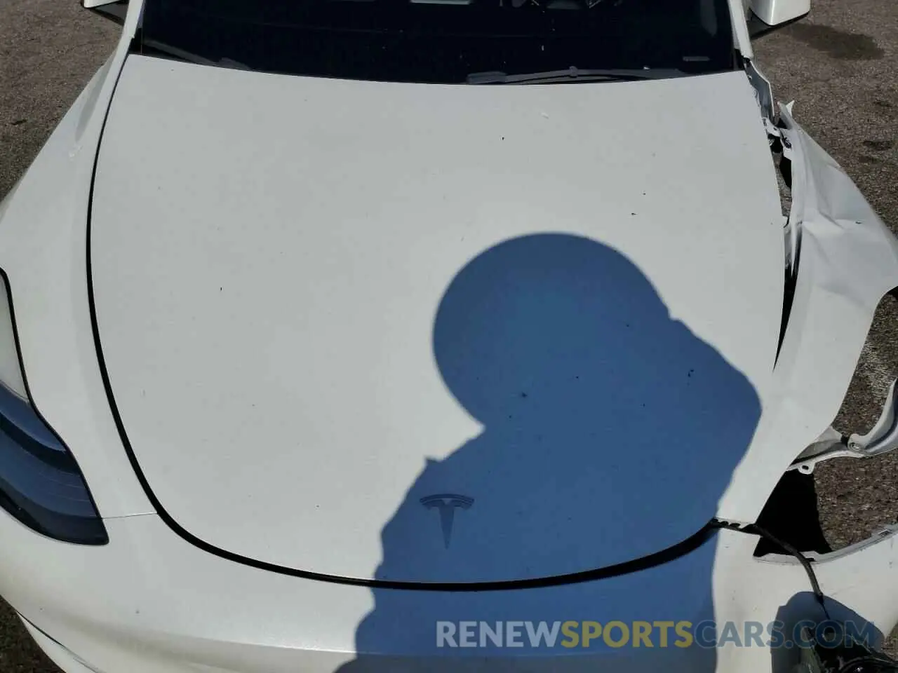 12 fotografías del automóvil dañado 7SAYGDEE3NF424259 TESLA MODEL Y 2022