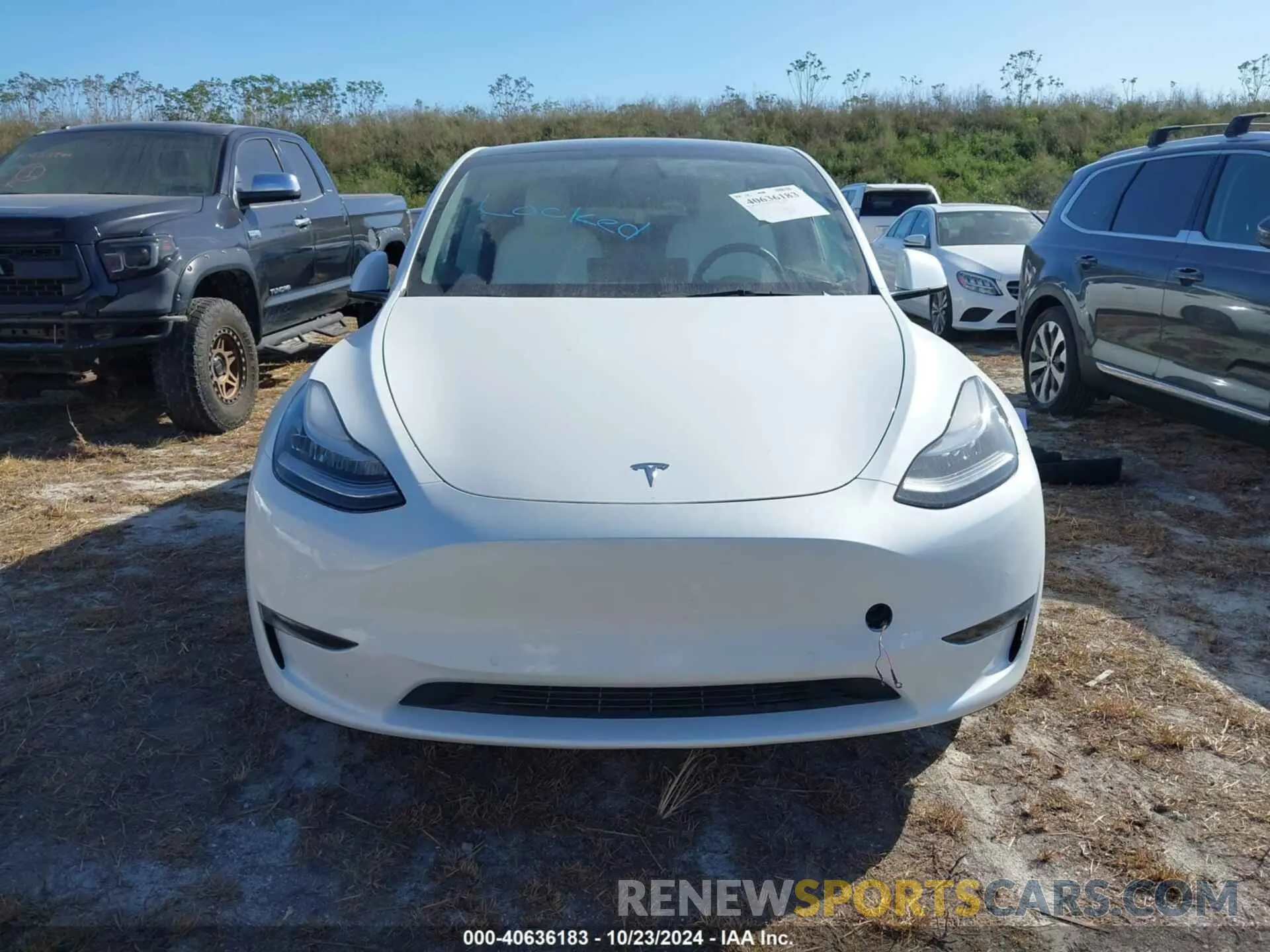 11 fotografías del automóvil dañado 7SAYGDEE5NF353422 TESLA MODEL Y 2022