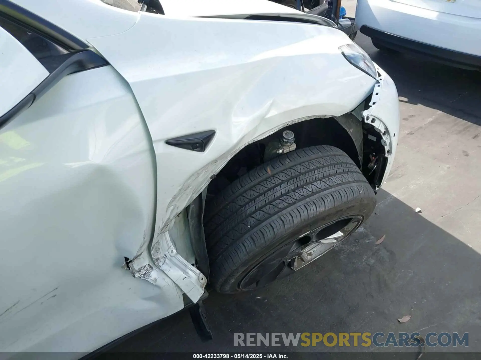 12 fotografías del automóvil dañado 7SAYGDEE5NF504369 TESLA MODEL Y 2022