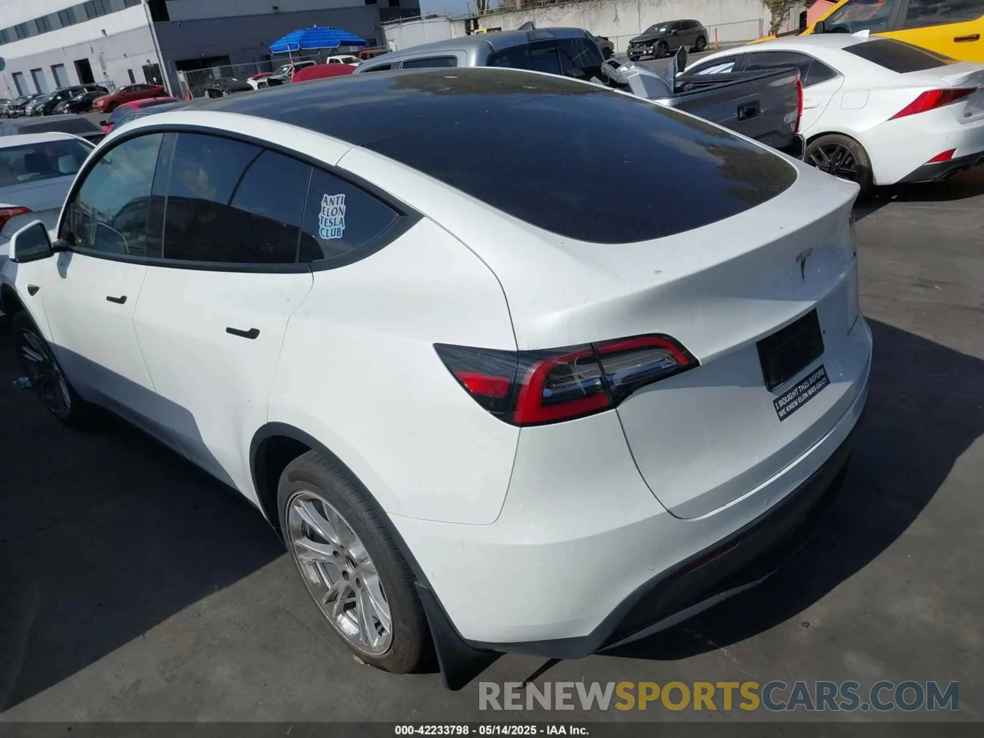 3 fotografías del automóvil dañado 7SAYGDEE5NF504369 TESLA MODEL Y 2022