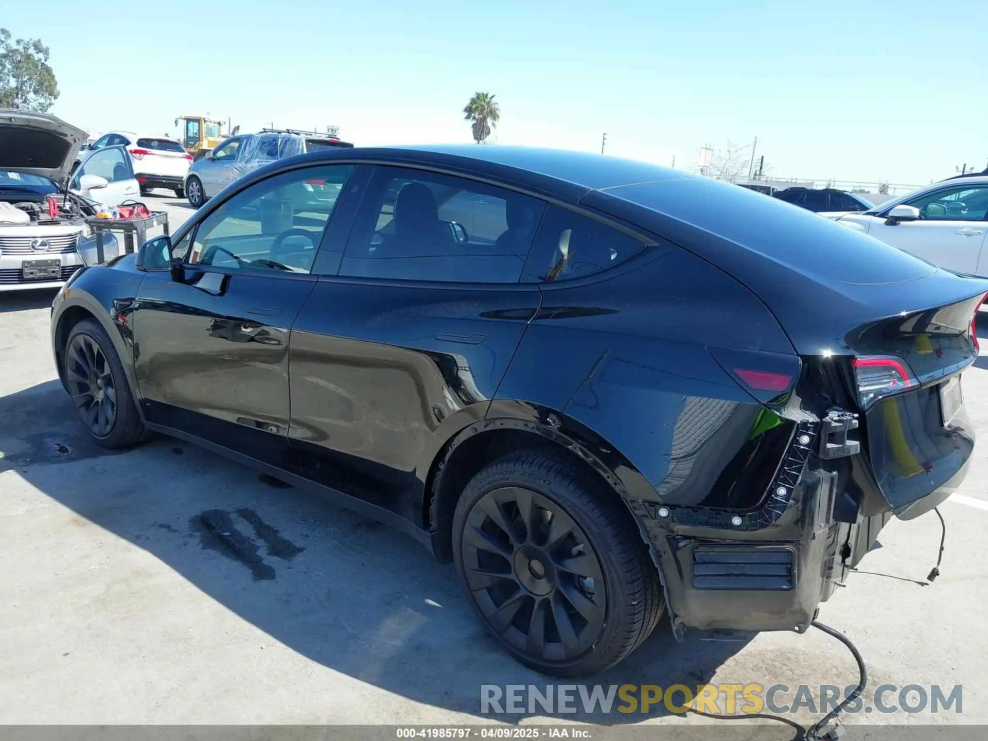 3 fotografías del automóvil dañado 7SAYGDEE6NF480471 TESLA MODEL Y 2022