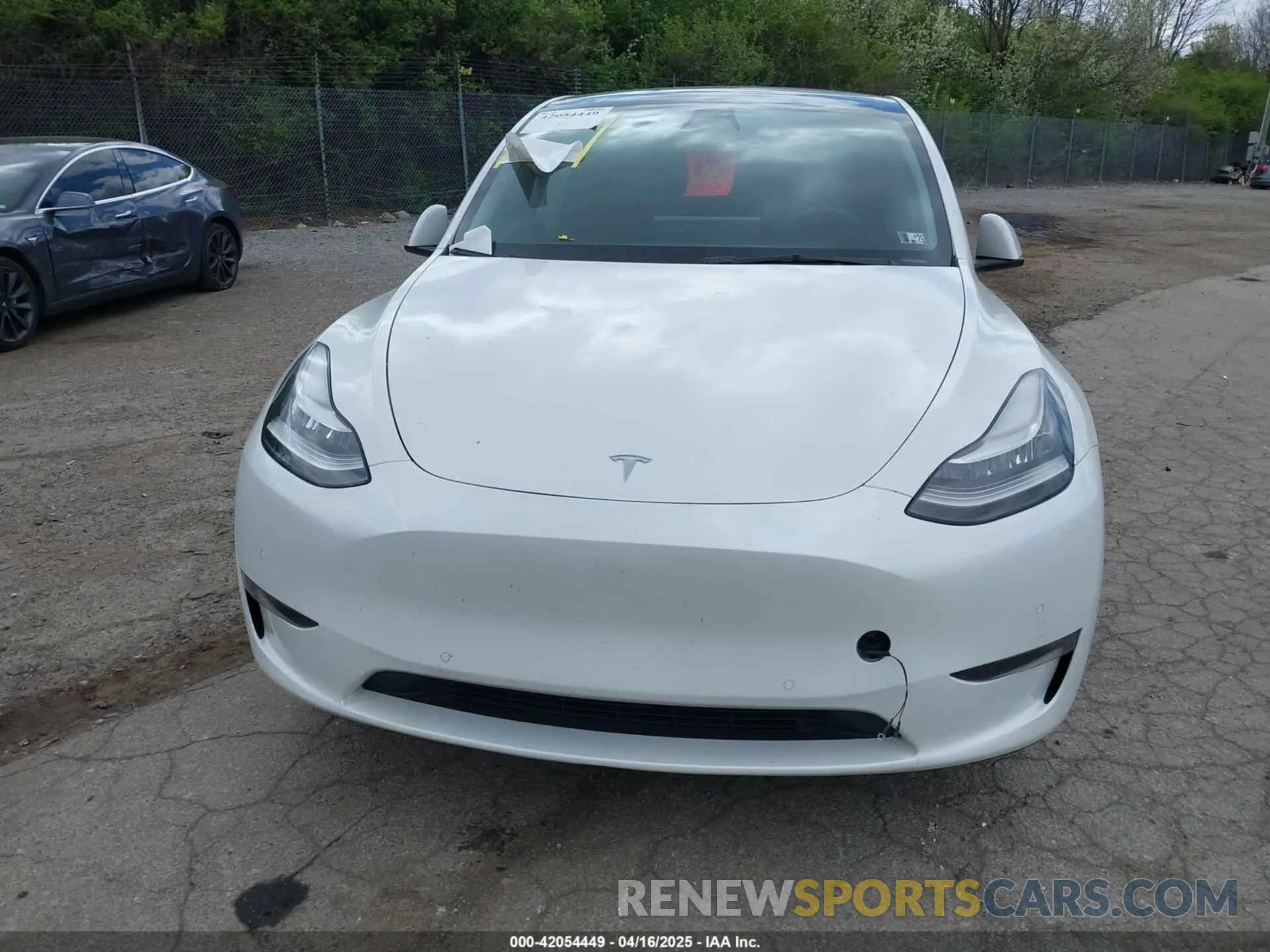 12 fotografías del automóvil dañado 7SAYGDEE7NF385207 TESLA MODEL Y 2022