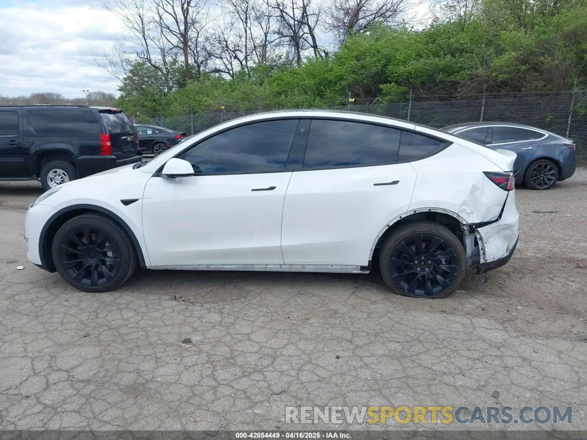14 fotografías del automóvil dañado 7SAYGDEE7NF385207 TESLA MODEL Y 2022