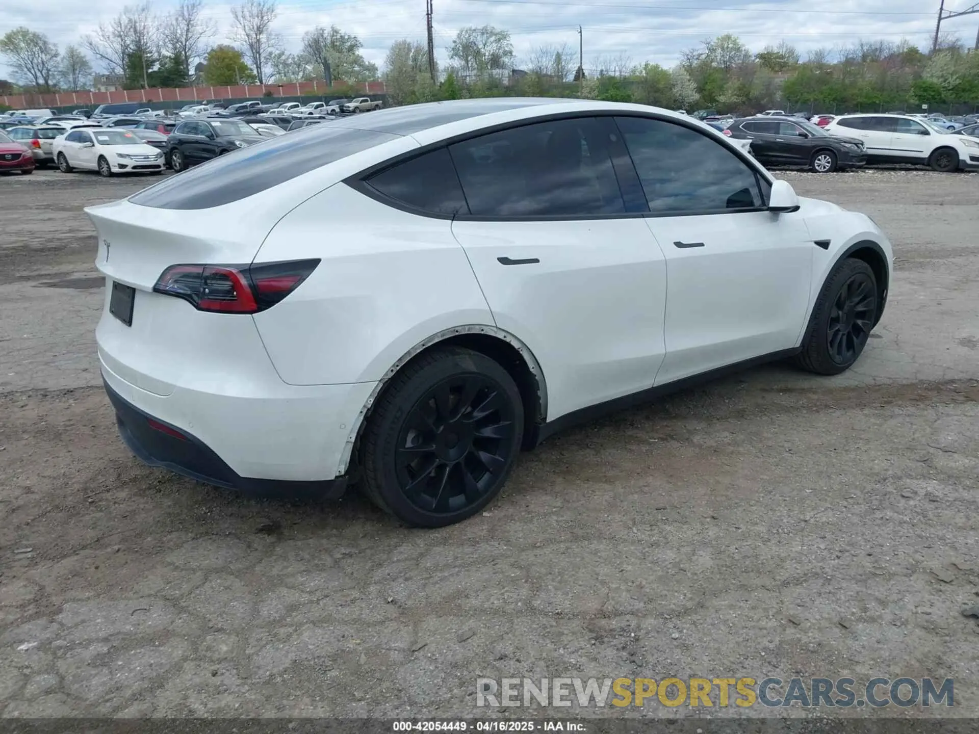 4 fotografías del automóvil dañado 7SAYGDEE7NF385207 TESLA MODEL Y 2022