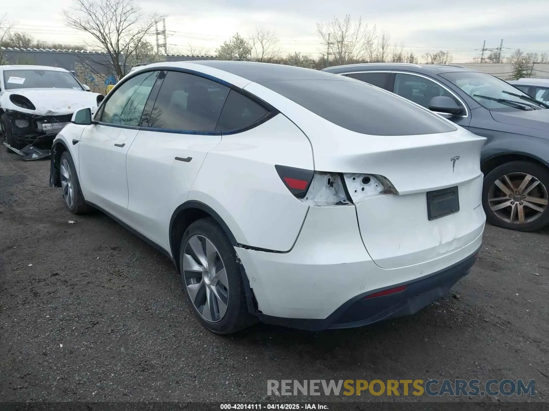 3 fotografías del automóvil dañado 7SAYGDEE7NF389788 TESLA MODEL Y 2022