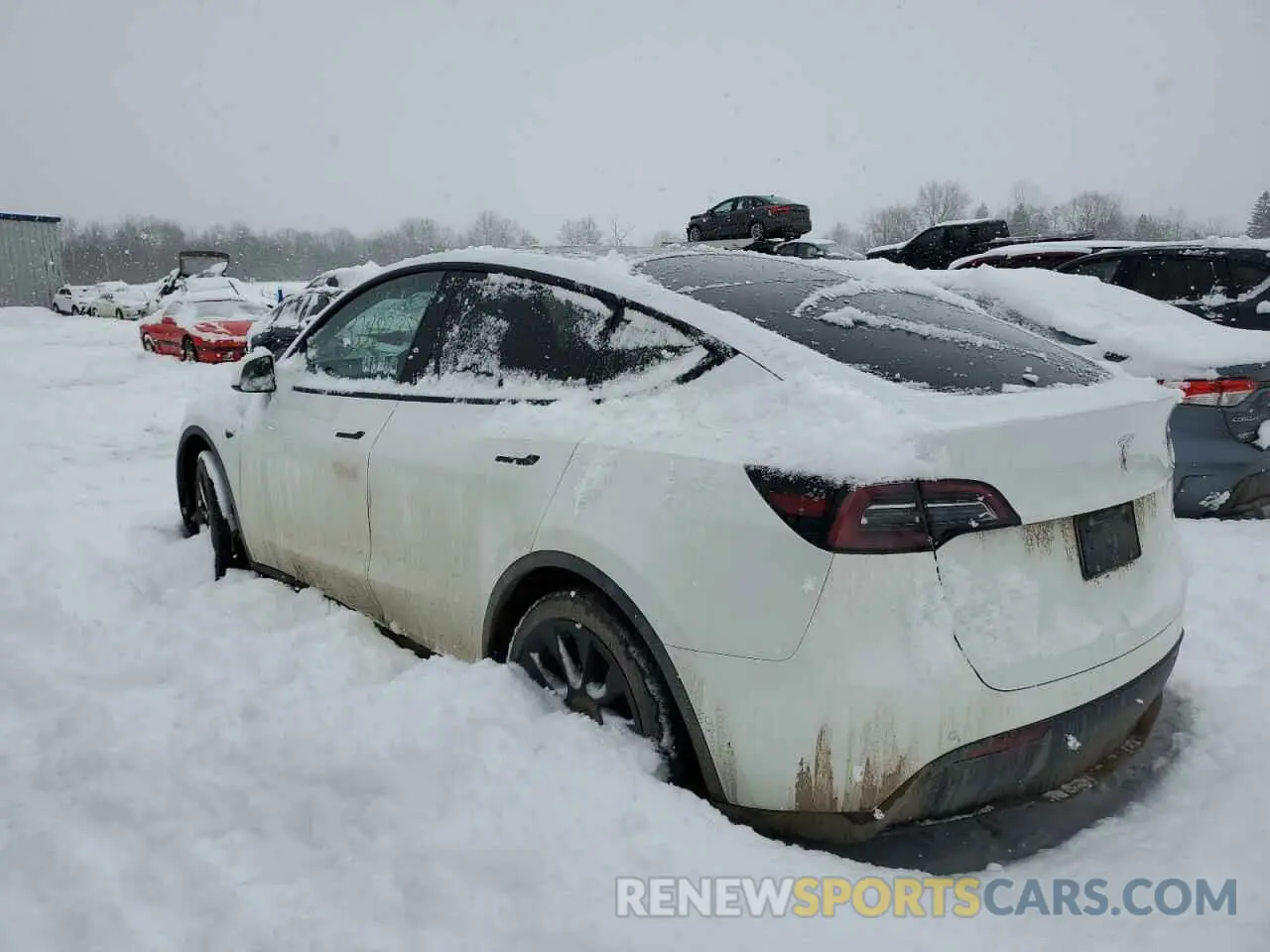 2 fotografías del automóvil dañado 7SAYGDEE8NA010567 TESLA MODEL Y 2022