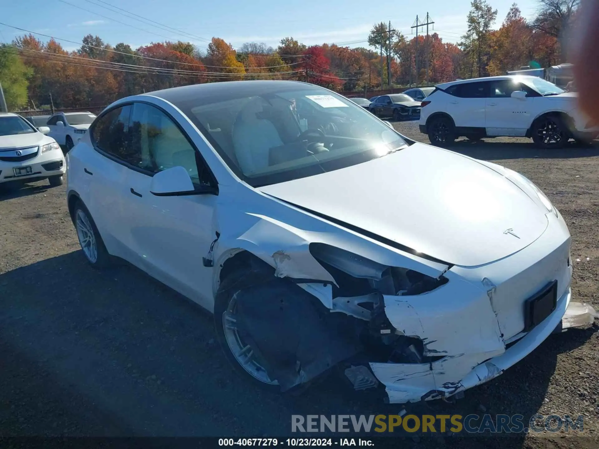 19 fotografías del automóvil dañado 7SAYGDEE9NF310377 TESLA MODEL Y 2022