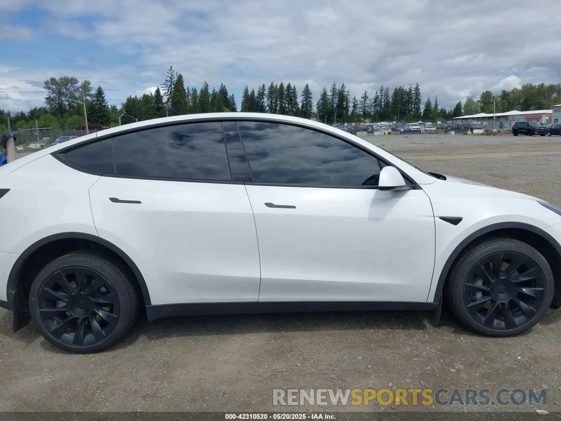 13 fotografías del automóvil dañado 7SAYGDEE9NF494901 TESLA MODEL Y 2022