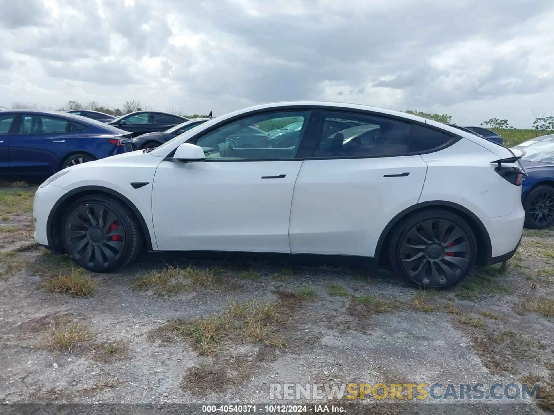 13 fotografías del automóvil dañado 7SAYGDEF2NF327711 TESLA MODEL Y 2022